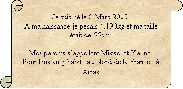 Parchemin vertical: Je suis n le 2 Mars 2003,
A ma naissance je pesais 4,190kg et ma taille tait de 55cm.

Mes parents sappellent Mikal et Karine.
Pour linstant jhabite au Nord de la France :  Arras
